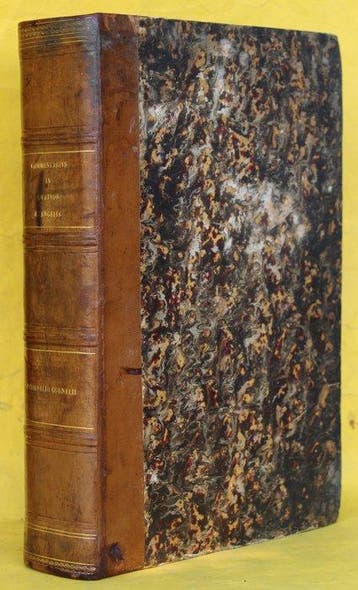 Commentarii in quatuor evangelia. - 1695, Antiek en Kunst