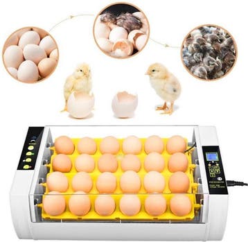 Broedmachine 24 eieren automatisch + gratis broedeitjes, Verzenden, Nieuw