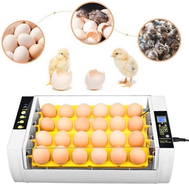 Broedmachine 24 eieren automatisch + gratis broedeitjes, Dieren en Toebehoren, Pluimvee | Toebehoren, Nieuw, Verzenden