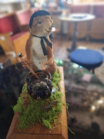 Écureuil Support de corps entier pour taxidermie - Scuirus