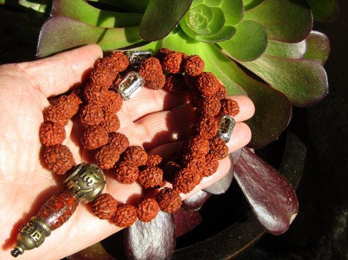 Rudraksha meditatiehalsketting met DZI-ogen van 9 en Vajra, Verzamelen, Mineralen en Fossielen