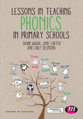Lessons In Teaching Phonics In Primary Schools |  | Nieuw, Verzenden, Nieuw