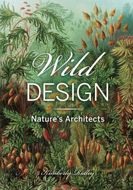 Wild Design 9781648960178 Kimberly Ridley, Livres, Langue | Anglais, Envoi