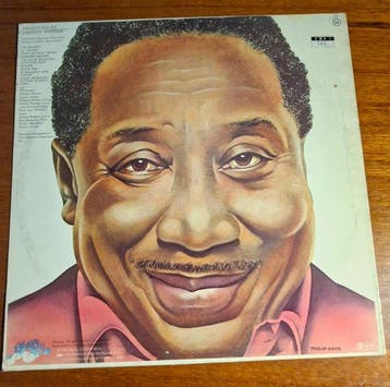 Muddy Waters - 3 album lot from Muddy Waters - LP albums, Nieuw in verpakking