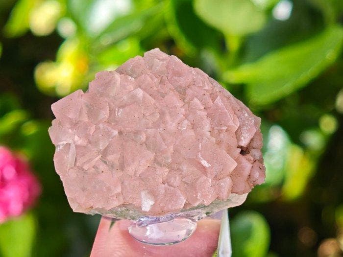 Fluorine Collection de cristaux- 21 g, Verzamelen, Mineralen en Fossielen