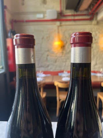 2017 Descendientes de J. Palacios, Valdafoz - Bierzo - 2, Nieuw