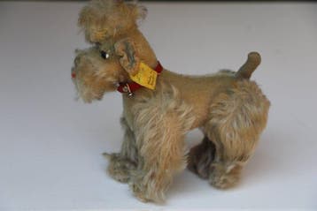 Steiff: poedel Snobby, EAN 5314 gr - Teddybeer - 1950-1960 -