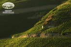 2006 Fritz Haag, BA-Brauneberger Juffer Sonnenuhr Riesling -, Verzamelen, Nieuw