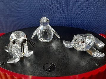 Swarovski - Figurine - Zeeleeuwjong mini pinguin en
