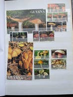 Guyana - Twee. Albums uit Guyana en één album van Sint-Tomé, Gestempeld