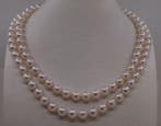Halsketting - 14 karaat Geel goud - 8x8.5mm Akoya parels, Nieuw