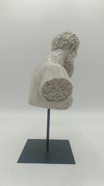 sculptuur, Busto dellercole farnese - 35 cm - marmerpoeder