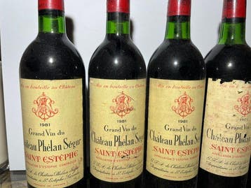 1981 Château Phélan Ségur - Saint-Estèphe - 6 Bouteilles, Verzamelen, Nieuw