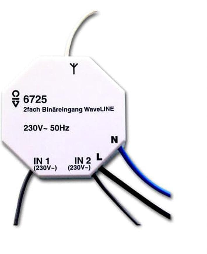 ABB Busch-Jaeger RF Binary Sensor WaveLINE 6725 230V -, Bricolage & Construction, Systèmes d'alarme, Envoi