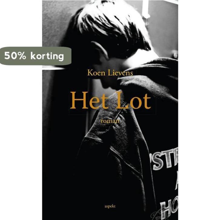 Het lot 9789461538093 Koen Lievens, Livres, Littérature, Envoi