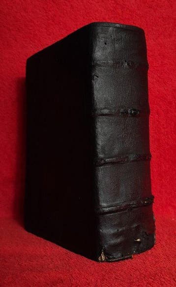 Roberto Bellarmino [23cm, 1,6 kg] - Explanatio in Psalmos -