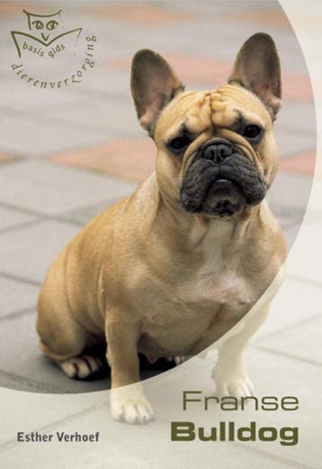 Franse Bulldog 9789058410924 Esther Verhoef, Verzenden, Gelezen, Esther Verhoef