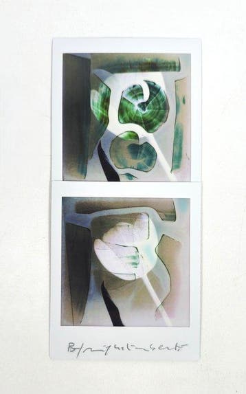 Maurizio Galimberti (1956–) - BiFlowers - 11571