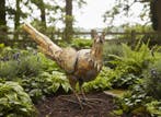 Pheasant - 75cm - Beeldje - Staal