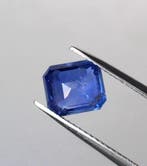 1 pcs Blauw Saffier - 2.39 ct - International Gemological, Nieuw