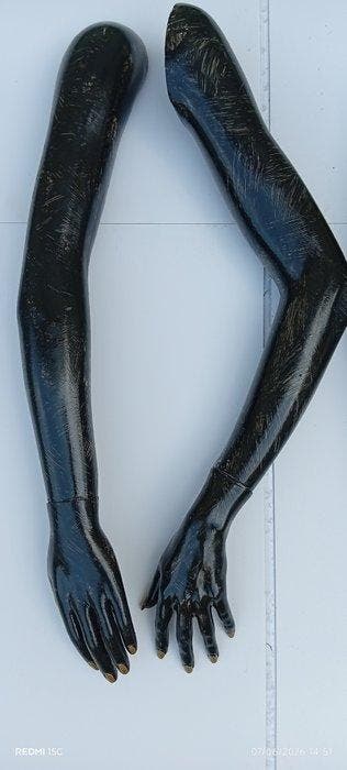 Mannequin - N. 14 braccia/mani di manichino (14) - Plastique
