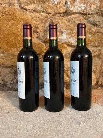 2003 Chateau Fonplégade - Saint-Émilion Grand Cru Classé - 3, Nieuw