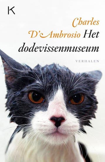 Het dodevissenmuseum 9789079770045 Charles D Ambrosio, Verzenden, Charles D' Ambrosio