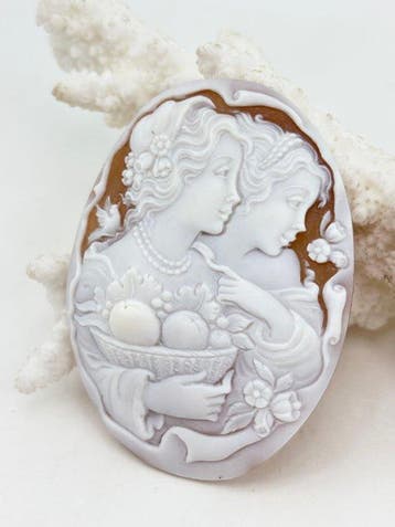 CASSIS MADAGASCARIENSIS - Cameo - Handgesneden camee