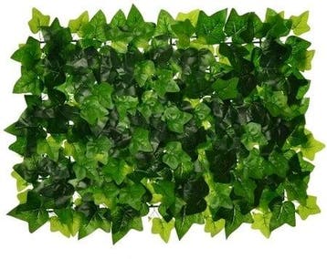 Flowerwall Groenwall 40x60 cm Hedera Ivywall Panel Kunst, Nieuw