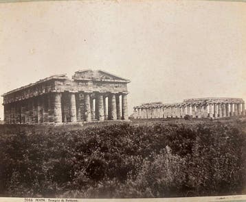 Sommer - Paestum - Fotografia antica dell’800