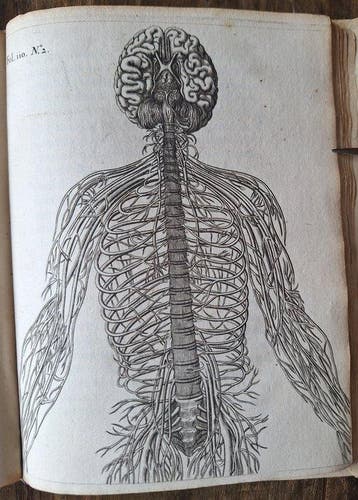 René Descartes; vertaald door Florentius Schuyl - Renatus