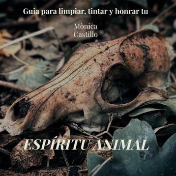 Espíritu Animal | Monica Castillo | Nieuw, Verzenden, Monica Castillo