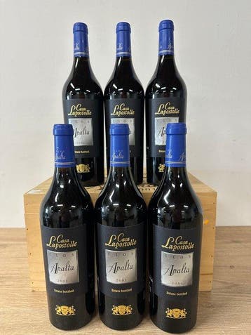 2001 Clos Apalta - Valle De Apalta - 6 Flessen (0.75 liter), Nieuw