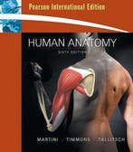 Human Anatomy 9780321539090 Frederic H. Martini, Verzenden, Gelezen, Frederic H. Martini