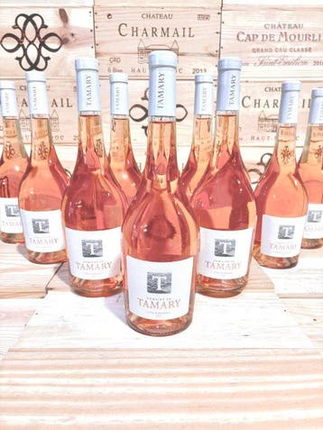 2023 Domaine de Tamary - Provence - 12 Flessen (0.75 liter), Nieuw