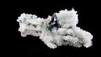 Cinabre (jumeaux) sur Quartz Tongren, Guizhou, Chine -