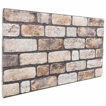 vidaXL Wandpanelen 10 st 100 x 50 cm Lichtbruin EPS-schuim, Verzenden