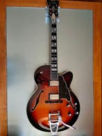 DAngelico - Nyl 5 DH - - Guitare électrique - Japon - 2006