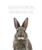 Jouw konijn, jouw geluk 9789083031507 Vianne Scharloo, Verzenden, Gelezen, Vianne Scharloo