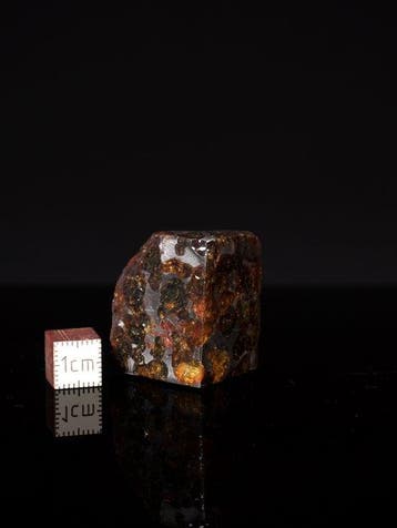 Météorite de Sericho Pallasites - 33 g - (1)