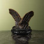 Flippers Zeeschildpad Taxidermie Opgezette Dieren By Max, Ophalen of Verzenden, Nieuw, Reptiel of Amfibie, Opgezet dier