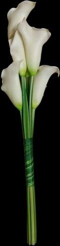 Handgebonden boeket witte calla ca. 40 cm (6 stuks) te, Nieuw