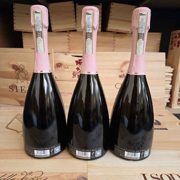 2020 Bellavista, Bellavista Rosè - Franciacorta Extra Brut -, Nieuw