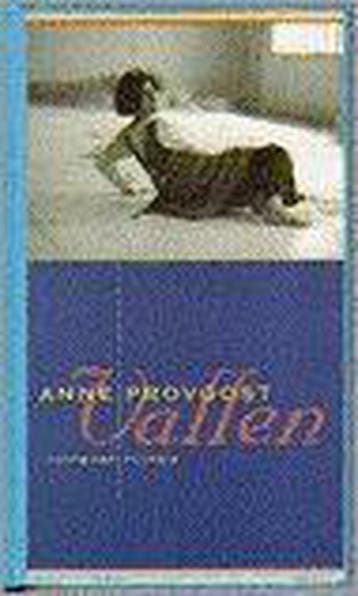 Vallen 9789052402789 Anne Provoost, Boeken, Verzenden, Gelezen, Anne Provoost