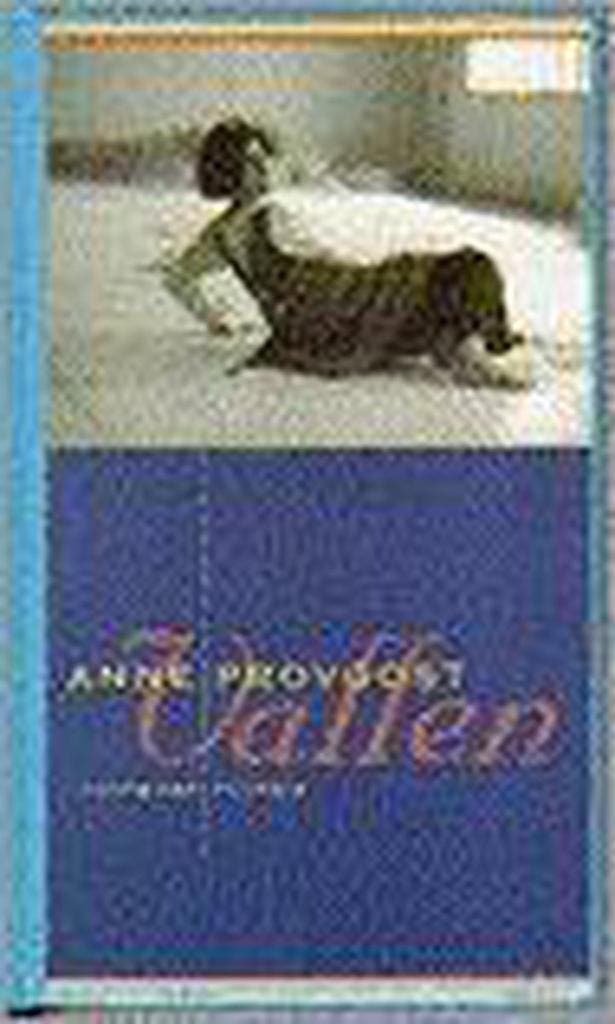 Vallen 9789052402789 Anne Provoost, Boeken, Kinderboeken | Jeugd | 13 jaar en ouder, Gelezen, Verzenden
