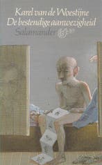 De bestendige aanwezigheid / Salamander / 543 9789021495439, Verzenden, Gelezen, Woestyne