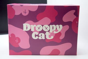 PoOL (XXI) - Mighty Jaxx - Droopy Cat