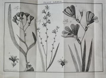 [Martinus Houttuyn] - Natuurlyke Historie, Of uitvoerige
