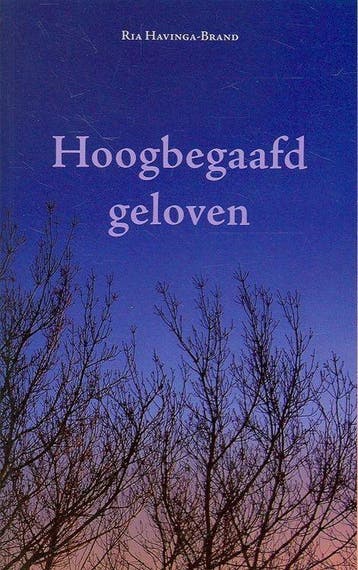 Hoogbegaafd geloven 9789075569452 R. Havinga-Brand, Verzenden, R. Havinga-Brand