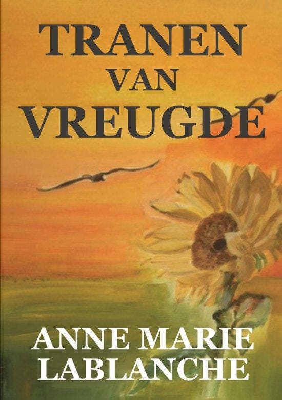 Tranen van vreugde 9789464689334 Anne Marie Lablanche, Livres, Livres Autre, Envoi